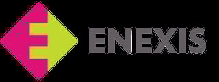 Enexis logo with pink and lime green geometric shapes and gray text